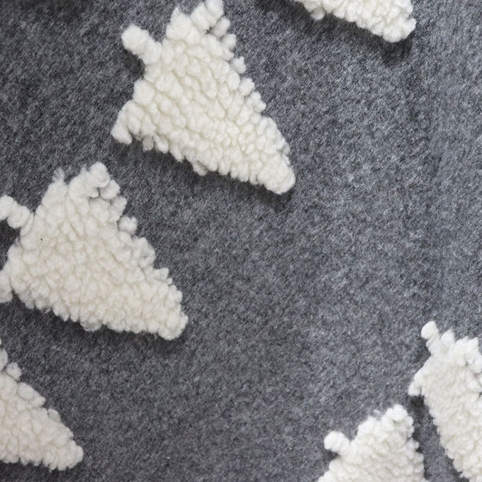 Maglieria Corallina Lana di flanello Lancia Cappotto Falsa Pelle Morbida Cappotto Minky Per Inverno 3